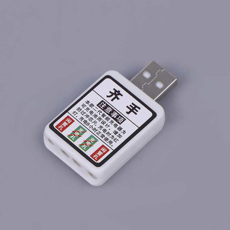 LED釣り用フロート用充電式CR425電池充電器 - Fish Finder Charger のレビューと価格